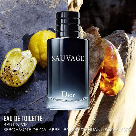 sauvage dior note de tete|Sauvage Dior Cologne .